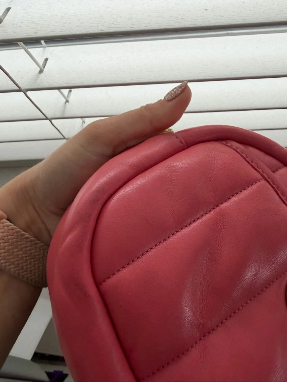 Coach Watermelon Camera Bag